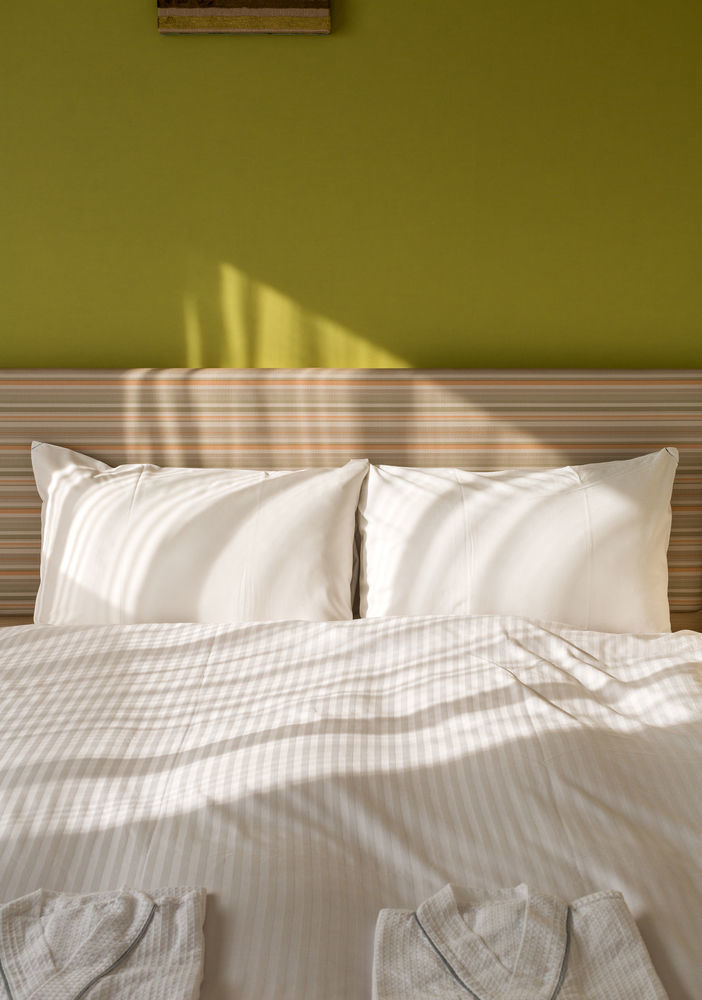 Four Points Flex By Sheraton Tokyo Ueno Hotel 3*